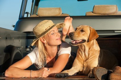 Hund an Hunderampe gewöhnen